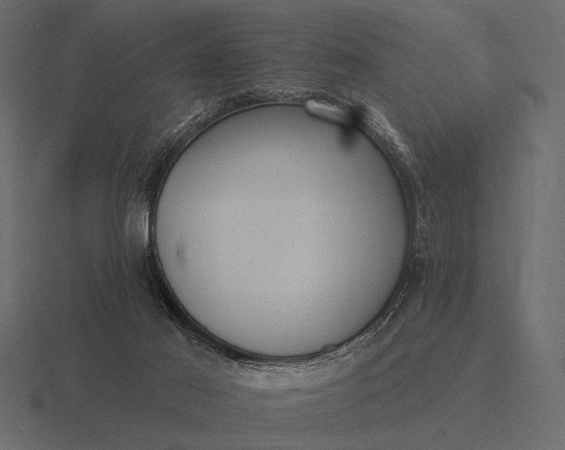 X0000116550021200912241604