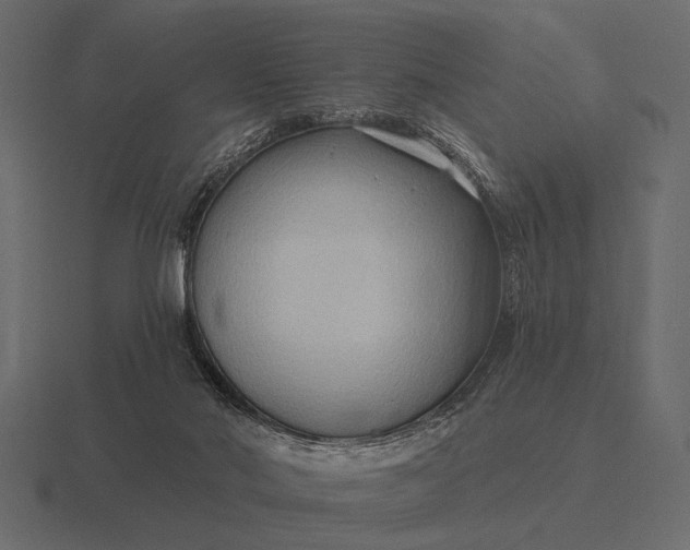 X0000116550022200912241604