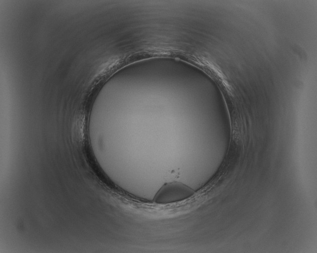 X0000116550023200912241604