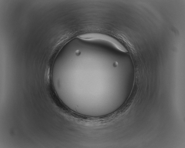 X0000116550024200912241604