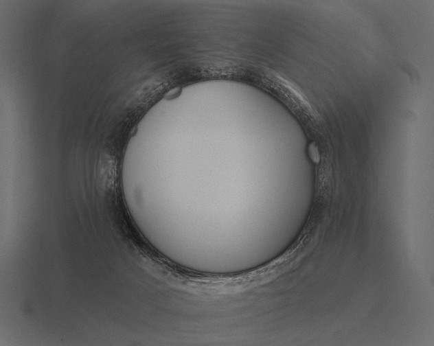 X0000116550025200912241604