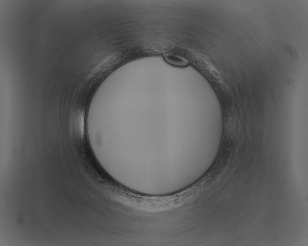 X0000116550027200912241604