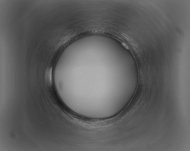 X0000116550028200912241604