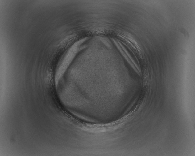 X0000116550029200912241604