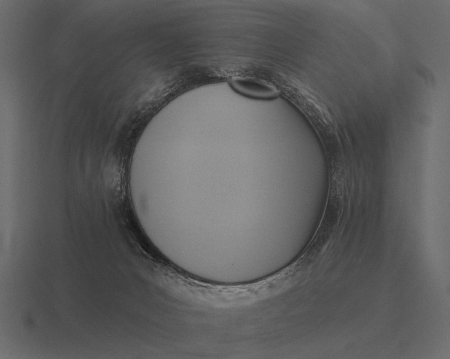 X0000116550031200912241604