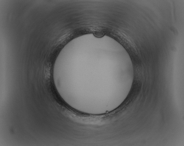 X0000116550032200912241604