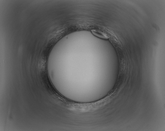 X0000116550033200912241604