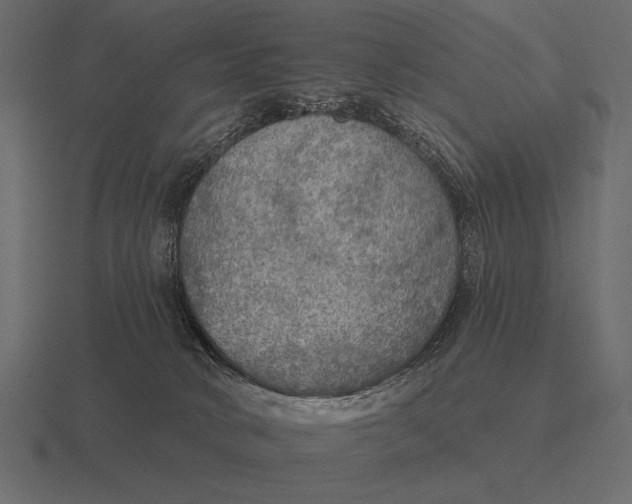 X0000116550034200912241604