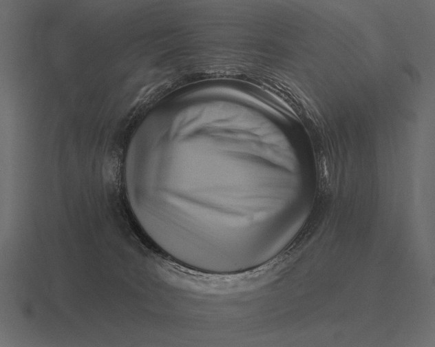 X0000116550035200912241604