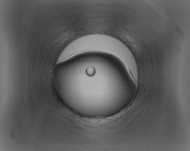 X0000116550037200912241604