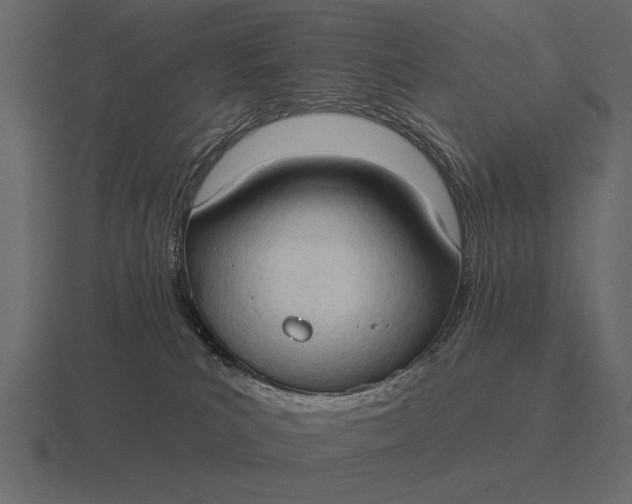 X0000116550039200912241604