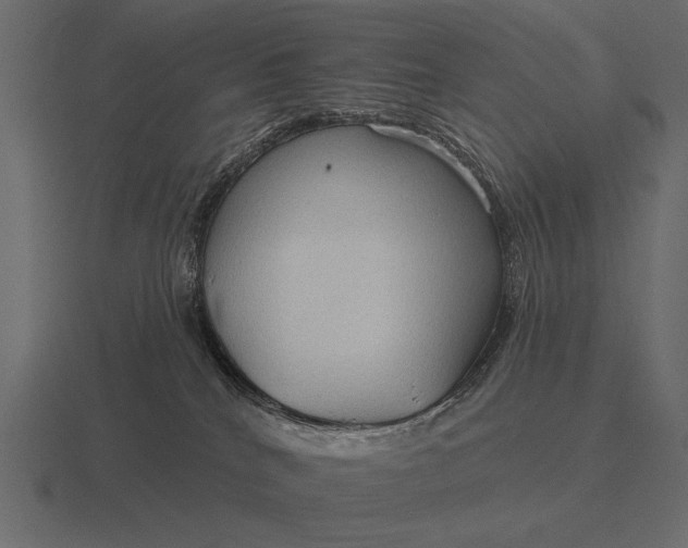 X0000116550040200912241604