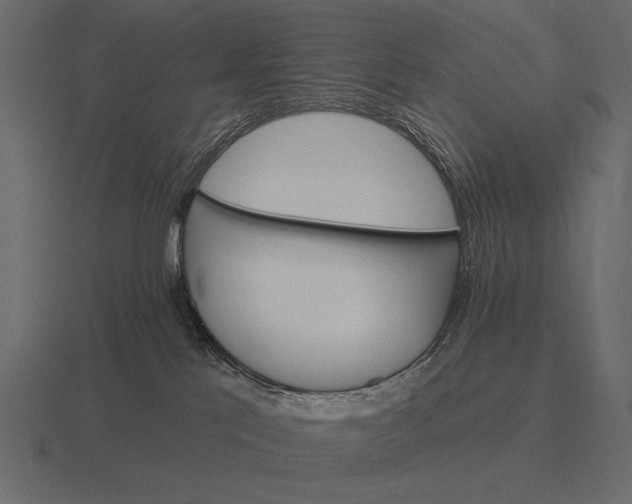 X0000116550041200912241604