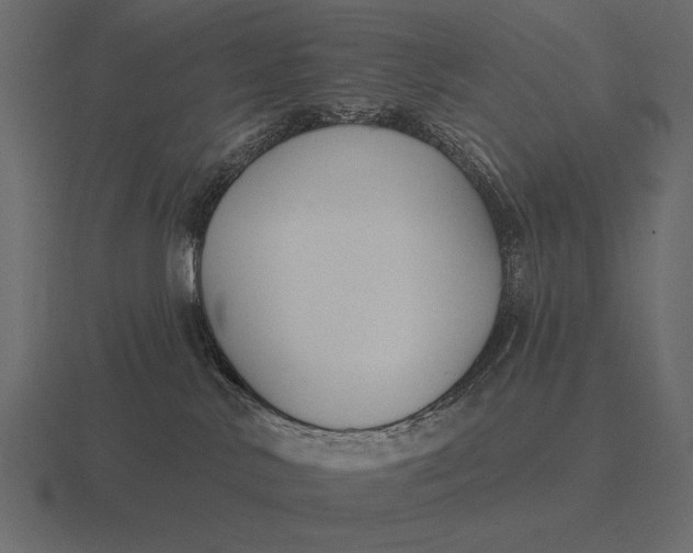 X0000116550042200912241604