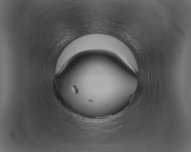 X0000116550043200912241604