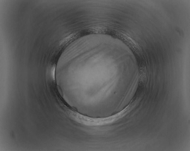 X0000116550047200912241604