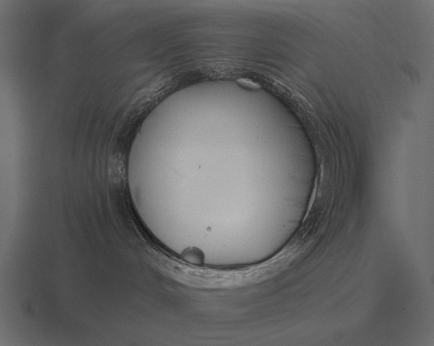 X0000116550048200912241604