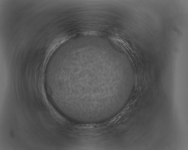 X0000116550049200912241603