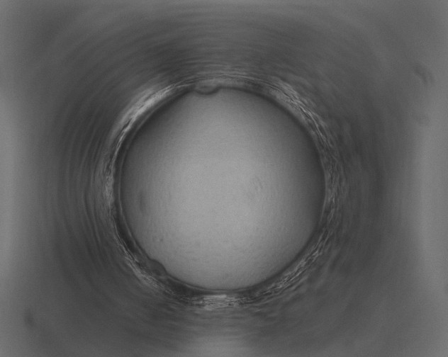 X0000116550050200912241603