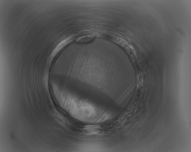 X0000116550051200912241603