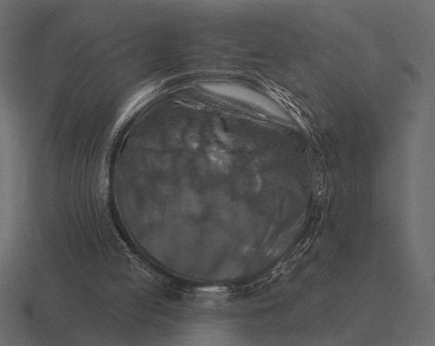 X0000116550053200912241603