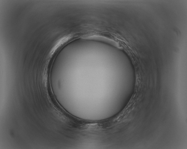 X0000116550054200912241603