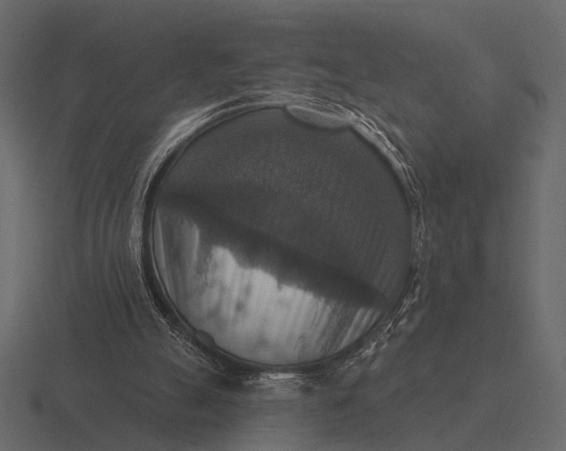 X0000116550055200912241603