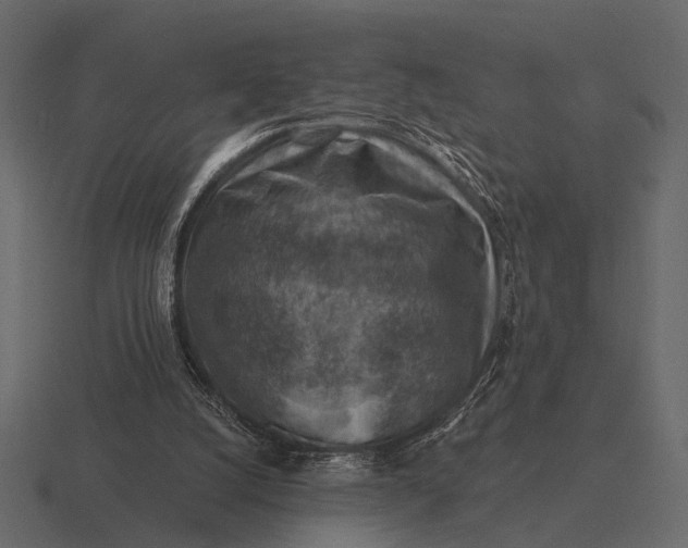 X0000116550056200912241603