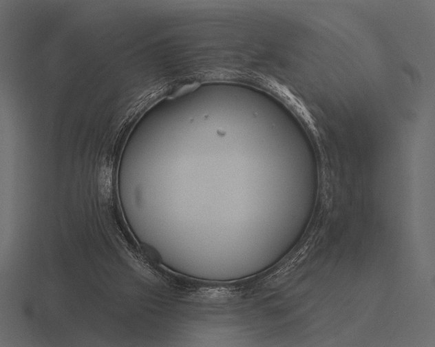 X0000116550057200912241603