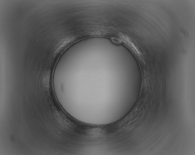 X0000116550058200912241603