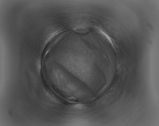 X0000116550059200912241603