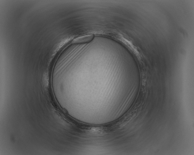 X0000116550060200912241603