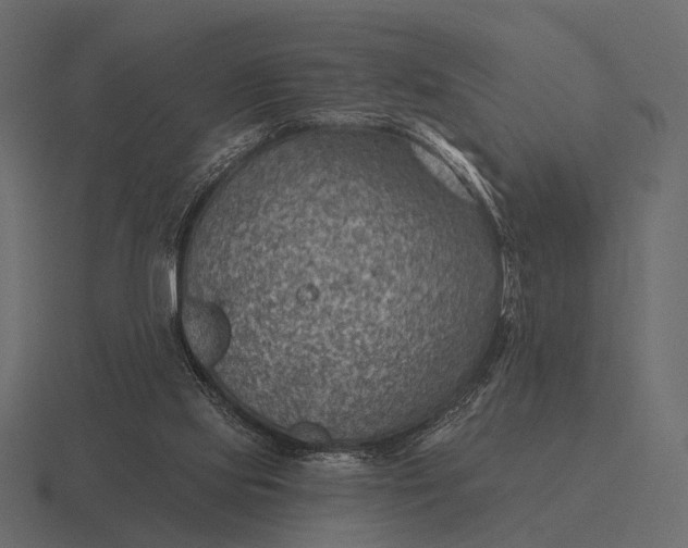 X0000116550061200912241603