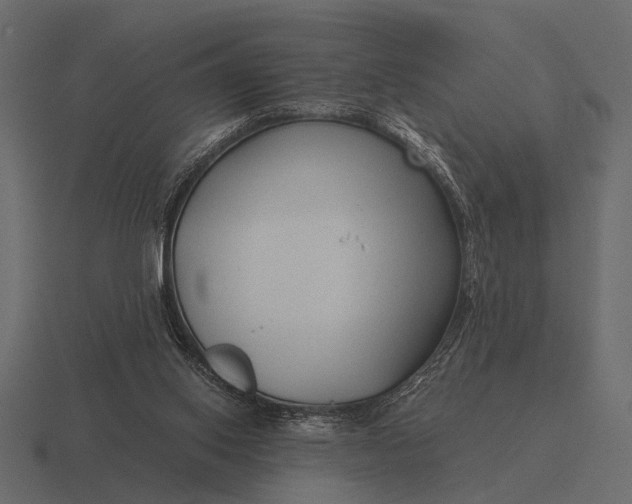 X0000116550062200912241603