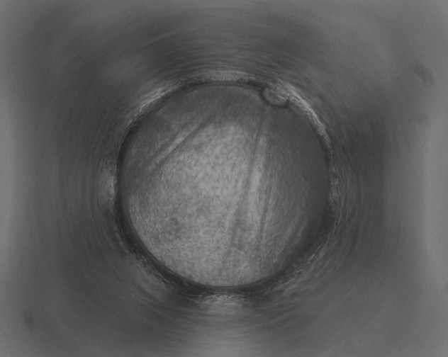 X0000116550063200912241603