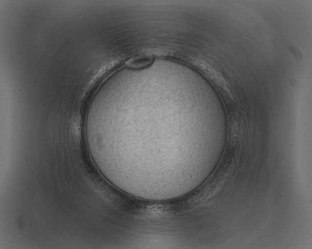 X0000116550064200912241603