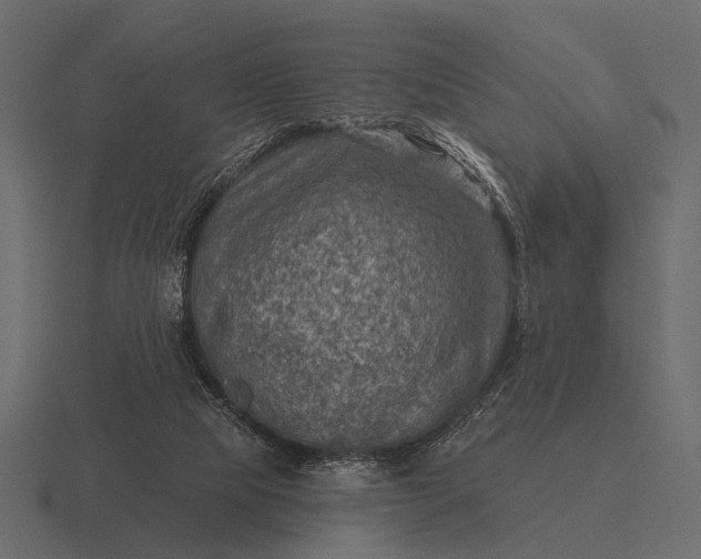 X0000116550065200912241603