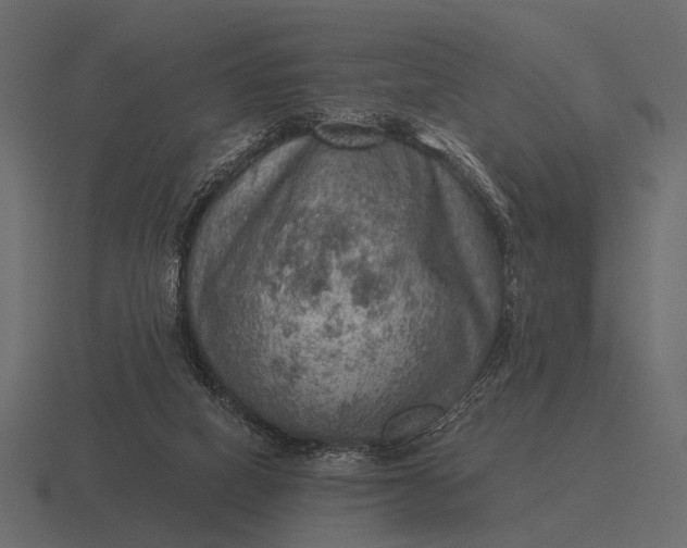 X0000116550066200912241603