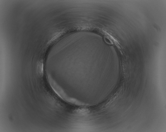 X0000116550067200912241603