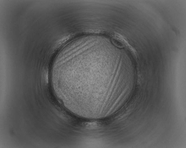 X0000116550068200912241603