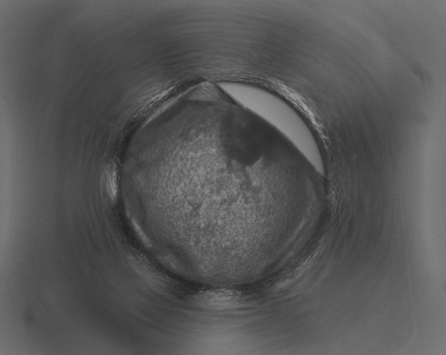 X0000116550069200912241603