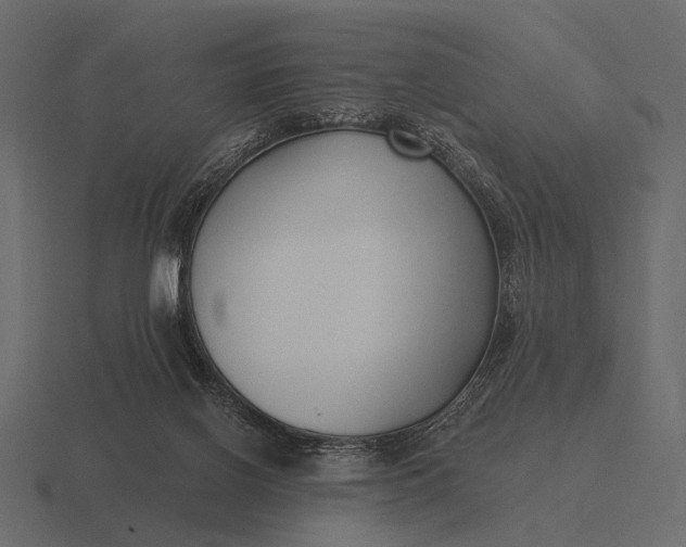 X0000116550070200912241603