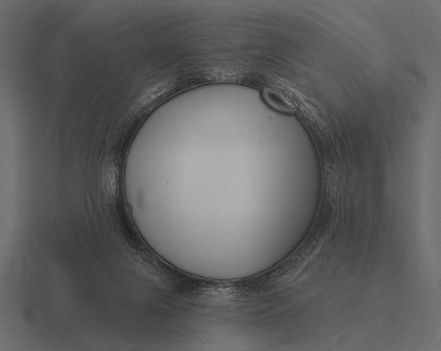 X0000116550071200912241603