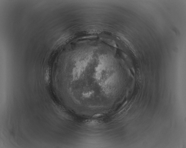 X0000116550074200912241603