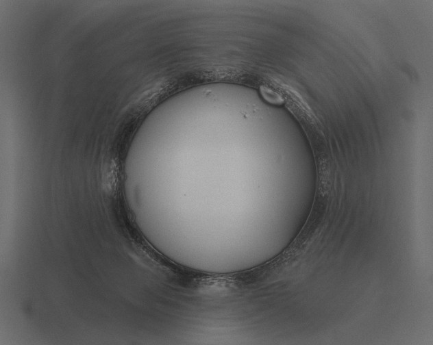 X0000116550077200912241603