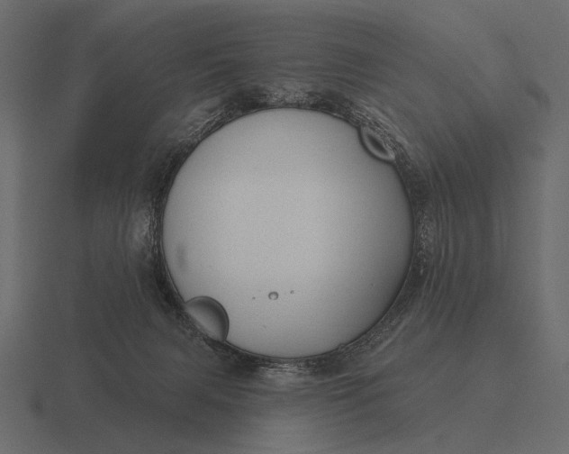 X0000116550079200912241603