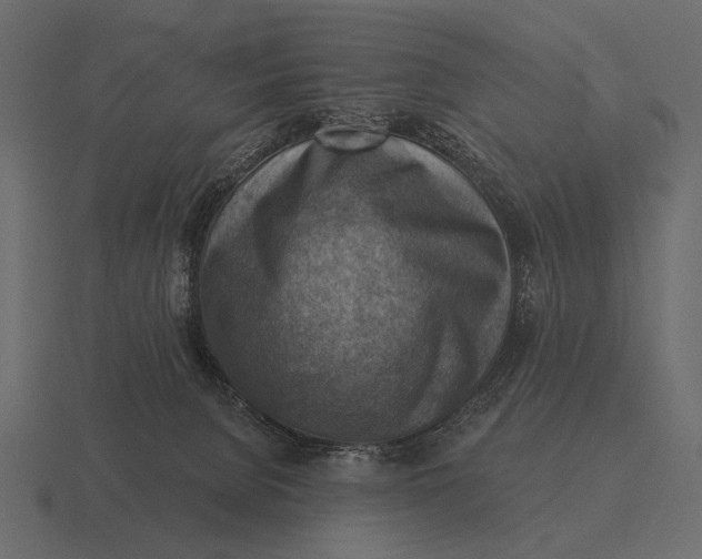 X0000116550080200912241603