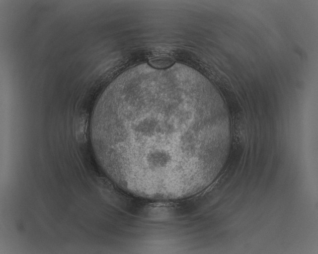 X0000116550082200912241603