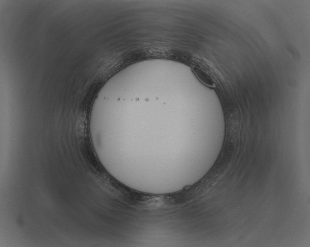 X0000116550083200912241603