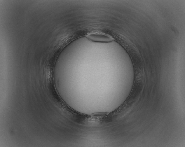 X0000116550084200912241603